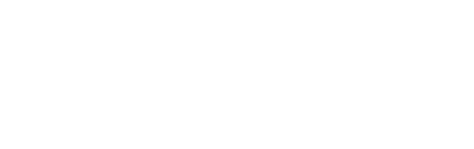 footer logo white v2